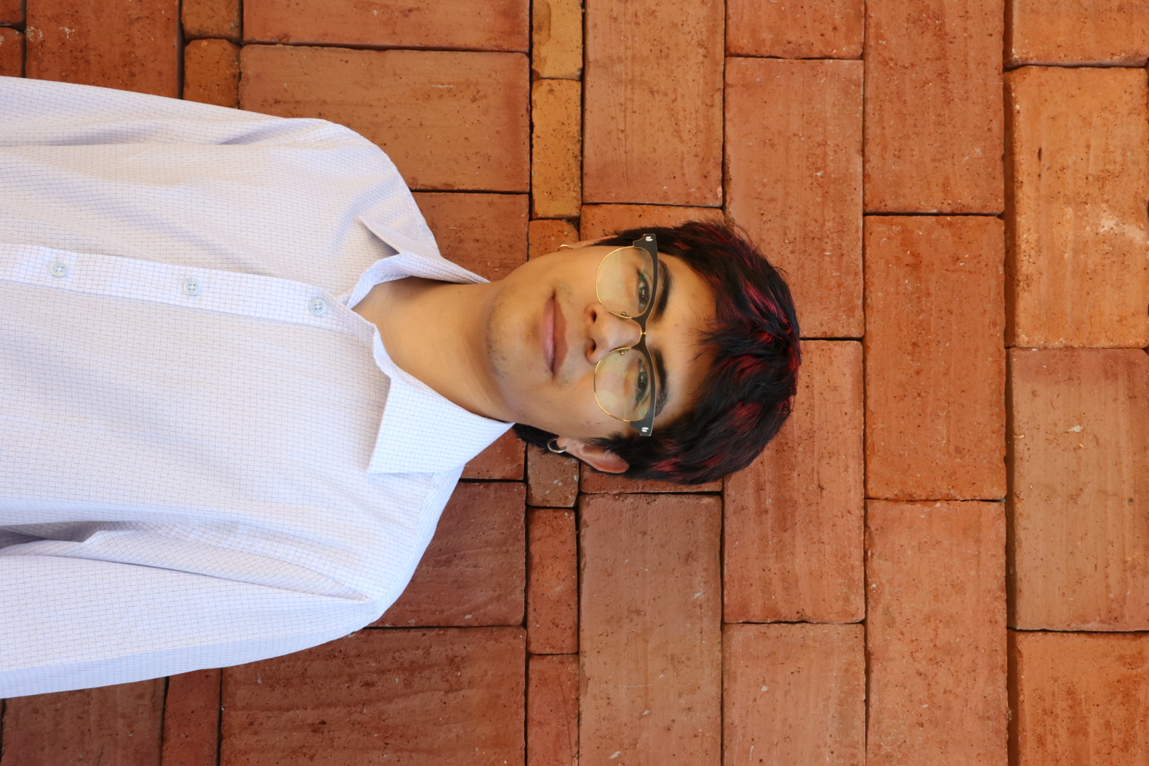 Diego Villalobos - Software Developer